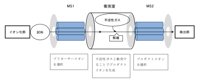解説画像